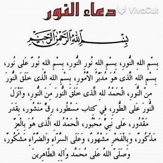 Mohammed Al-Saeed on Reels