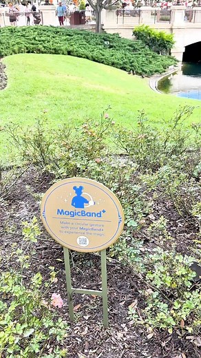 1.1K reactions · 48 shares | Sometimes waving your arm in a circle in front of the interactive statues at Disney World doesn’t work that well but I found tapping my Magicband + 3 times does. You can also open the Play Disney app where you can earn an icon for each statue until you collect them all. Happy hunting!! #disneymagicband #magicband #disneytipsandtricks #disneyhacks #disneytraveltips @disneyparks | Sailor Shay | Facebook