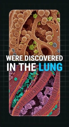83. 🔬 Mapping Every Cell in the Human Body — The Cell Atlas