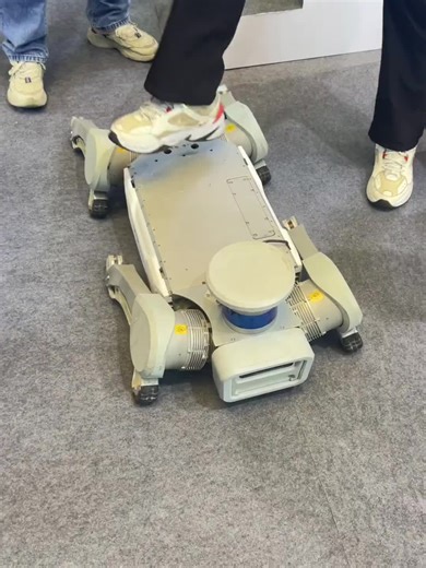Walking Aid Demonstration: Innovative Robotic Device