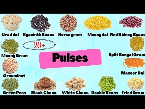 Grains | Pulses | Cereals | Pulses Names in Tamil & English | பருப்பு வகைகள் | English Tamil Dict..