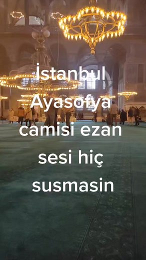 Exploring Mosque Interiors: A Visual Journey