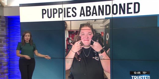 One-week-old puppies found abandoned