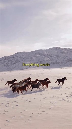 26K views · 517 reactions | Every interaction with a horse comes down to three energies: push, block, and draw. Most riders use them unconsciously… which is why the horse gets mixed signals. When you understand how to choreograph these energies with your body, everything changes—balance, softness, behavior, and communication. ➡️ Watch the full 3 Energies lesson now. Comment "Good Hands" and we will send you the video. #chrisirwin #mindyourhorse | Mind Your Horse | Facebook