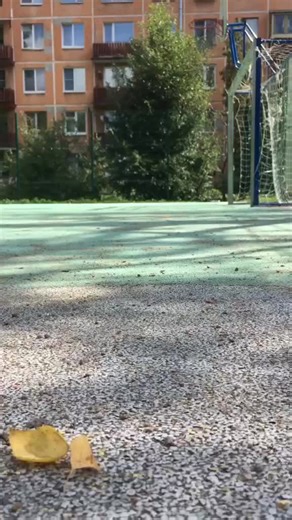 Полина Солодкова (@lina_solo)’s videos with Beggin' - Måneskin