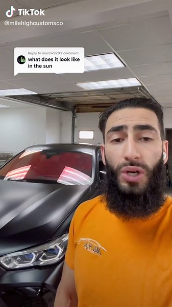 Chameleon Tint Inside and Outside Revealed in Natural Lighting