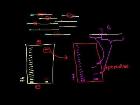 Modification interference assays