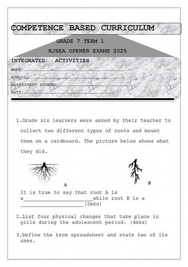 grade 7 integrated activities 2025 opener term 1