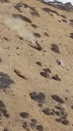 Mountain Goats: Agile Climbers in Rocky Desert Terrain