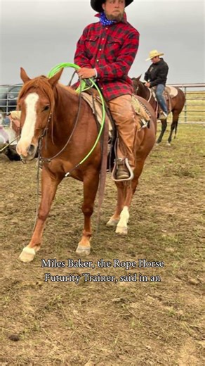 Ranching on colts prior to the arena makes for solid prospects! #breakawayroping #rope #ranching
