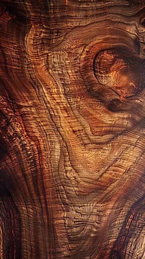 A little tutorial to show you how I adjust my images, so that I can accurately see what tones I need to burn. It can be easy to lose definition when applying a simple sepia filter. Here's how to get that perfect sepia image using Procreate. #procreate #edit #sepia #photography #pyrography #artist #tutorial #diy #procreatetutorial #kellypyrography #fyp #howto #definition #gradient #contrast | Kelly Pyrography