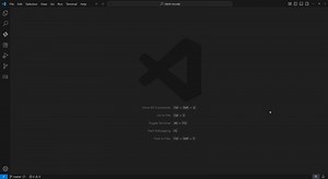 Demo video of Fault Analyzer and File Manager in VS Code