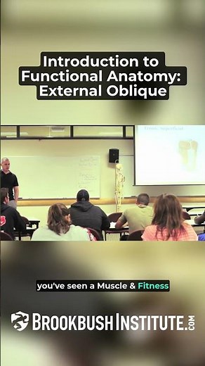 🔴 Introduction to Functional Anatomy: External Oblique