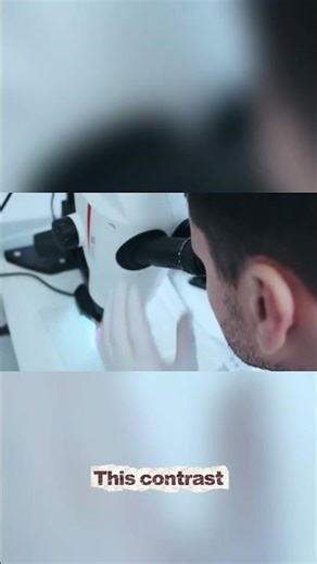 H&E Staining Explained | Hematoxylin & Eosin