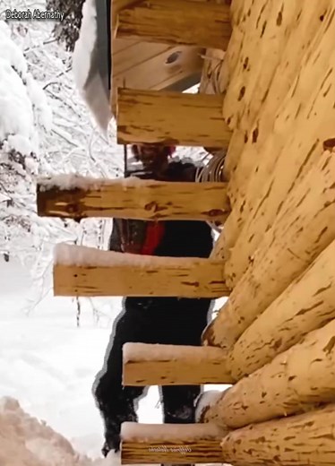 Log cabin build hardwood flooring install | Deborah Abernathy