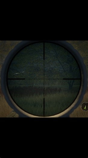 Running Shot #shorts