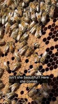 Nature is amazing 💛