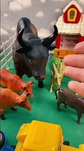 COWS, OX , HORSE, TRACTOR / VACAS, BOI, CAVALO, TRATOR