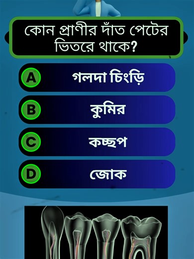 কুইজ প্রশ্ন ও উত্তর | সাধারণ জ্ঞানের পরীক্ষা