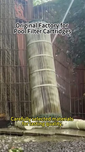 Building Trust in Pool Maintenance Services