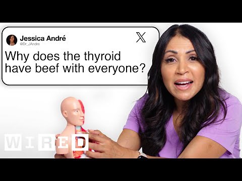 Doctor Answers Hormone Questions From Twitter | Tech Support | WIRED
