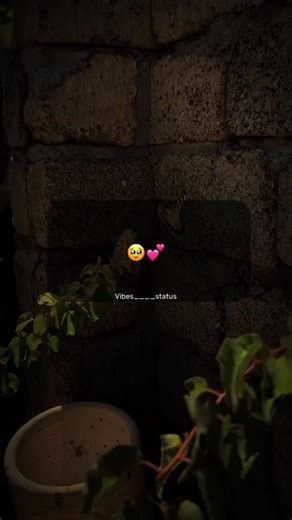 I N D E R 💜 | tag someone 👀💕 . . .#trending #song #explore | Instagram