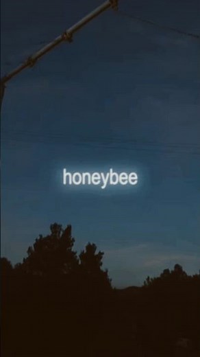 Honey bee by Olivia Rodrigo #oliviarodrigo #lyrics #newmusic #music #oliviarodrigoguts