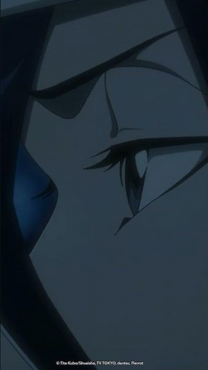 Rukia and Byakuya Vs. Äs Nödt | BLEACH: Thousand-Year Blood War | VIZ