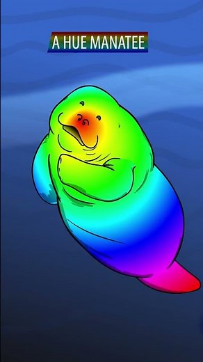 Hue Manatee clears up some confusion. He is not a Seal! #shorts #animation