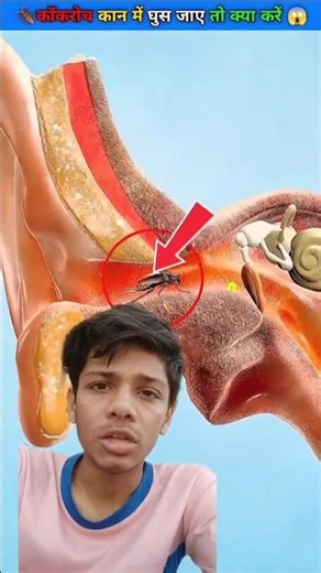 Top Learning Toolsfor Tech Enthusiasts#shorts​ #shortsfeed​ #viral #short #viralshorts