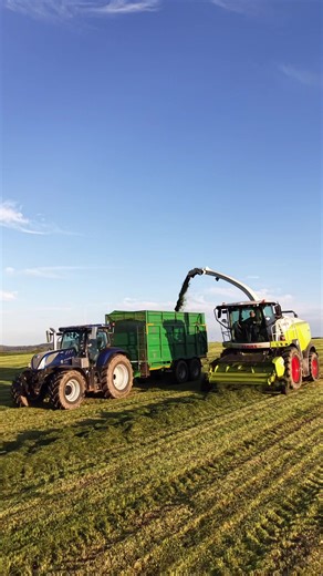 Grass Fever: Planting for Silage 🌱