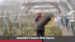 2K views · 57 reactions | Farm workers have been ensuring fresh food reaches our plates. Their work is essential. Yet many of them are being left behind. Stand with Emma - share her story. #NoWorkerLeftBehind | United Workers Union | Facebook