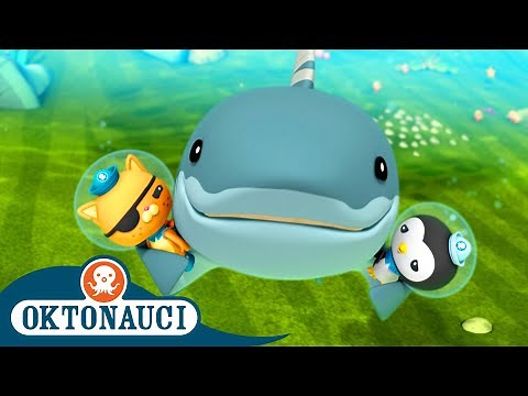 ‪@Octonauts‬ - Successfully Bandaging a Shark 🩹🦈 | Season 2 | Best Bits! | Cartoons for Kids