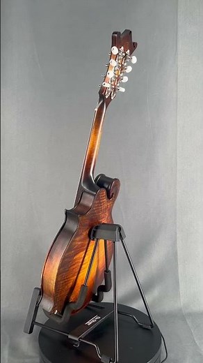 Tonedevil F Mandolin #mandolins