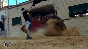UNA TARDE INOLVIDABLE 6 TOROS EN MUSEROS POR LA PEÑA TAURINA 2024 UN CARTELON CON 6 TOROS DE SANTIAGO DOMECQ IMPRESIONANTES A CUAL MEJOR | TOROS HOY