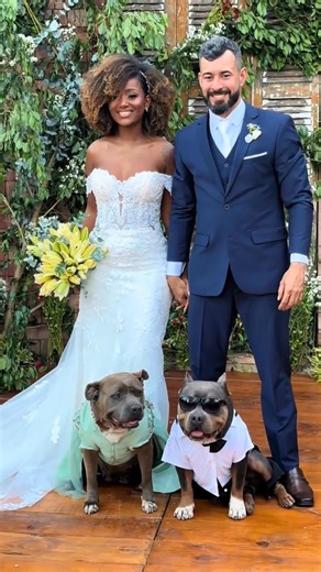 467K views · 15K reactions | Bia and Fellipe蘆Looking at them, you...