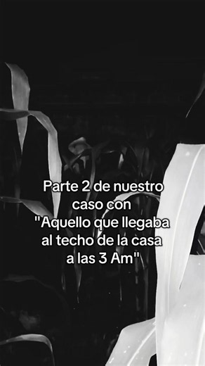 Parte 2 de aquello que llegaba a nuestra casa en la madrugada.🦃🧙🏾‍♀️ #bruja #miedo #terror #leyenda #Fyp