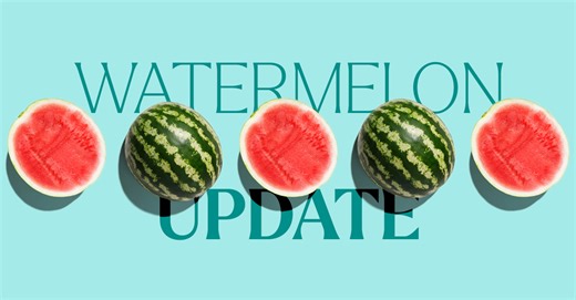 Reports: Watermelon Market Relatively Steady Amid Light-Moderate Demand and Varying Prices