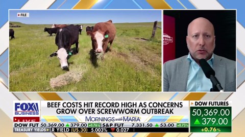Beef prices hit record high as cattle shortage deepens, Omaha Steaks CEO warns recovery may take years
