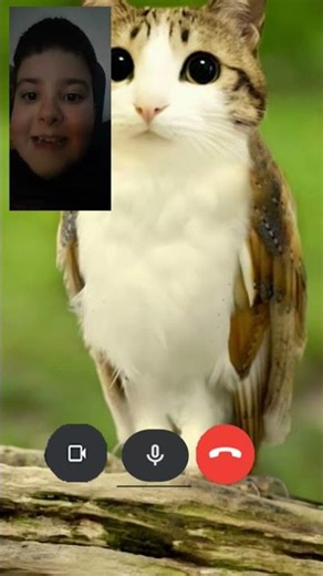 u vás windows xp internet explorer windows #funny #stumbleguys