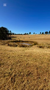 114K views · 649 reactions | Time to start anther dam #DamConstruction #EliteDams #TASKEliteDams #kinglake #WaterStorage #LandImprovement #Earthmoving #Excavation #FarmLife #RuralAustralia #HeavyEquipment #DamBuilders #PropertyUpgrade #DirtMoving #SustainableFarming #Landscaping #IslandDam #ProjectComplete #SatisfiedCustomer #testamonial | Chase - The Dam Man | Facebook