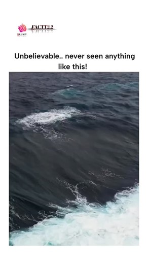 mrfact | The video captures a sudden, explosive collision of ocean waves in rough seas, creating a towering surge of foam that resembles a geyser,... | Instagram