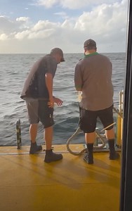 252K views · 2K reactions | An unexpected passenger…. The Manly...