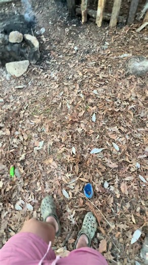 Survival Strategies in Nature: Day 3 Insights