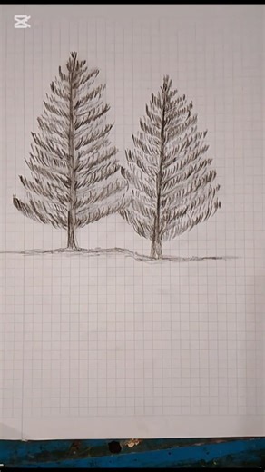 How to Draw Two Pine Trees with Pencil | Easy Step-by-Step Tutorial for Beginners #drawing #art #usa