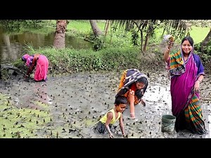 জমিতে কাদায় নেমে মাছ ধরে আজ রান্না করলাম লাউশাকের ঘন্ট আর কৈমাছ ভাপা || village fishing & cooking