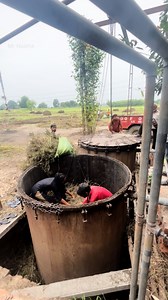 The process of making Navratna oil from this grass is very amazing, you will be shocked to know its price 22 lakh rupees per kg | Mr Nokha