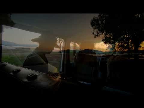 VW T5 Camping at Lake Hume