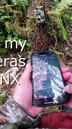 75 Trail Cameras: Setup, Maintenance & Year-Round Field Secrets! #shorts