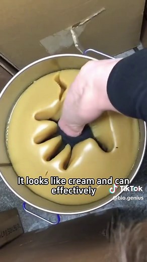 Exploring the Taste of Various Oils